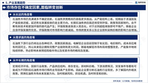 智研咨詢 2023年中國石油焦行業(yè)市場全景調(diào)查 投資策略研究報告