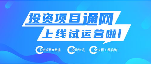 熱烈慶祝投資項目通網上線試運營 讓天下投資項目快速順利落地