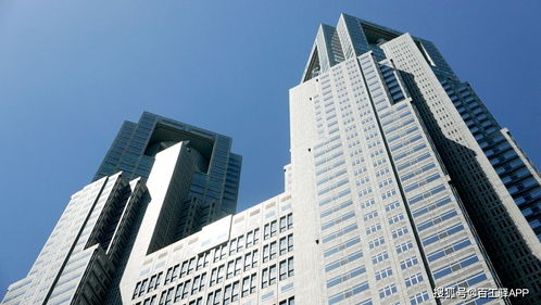 深度丨投資決策綜合性咨詢 工程建設(shè)全過程咨詢服務(wù)的產(chǎn)生與存續(xù)