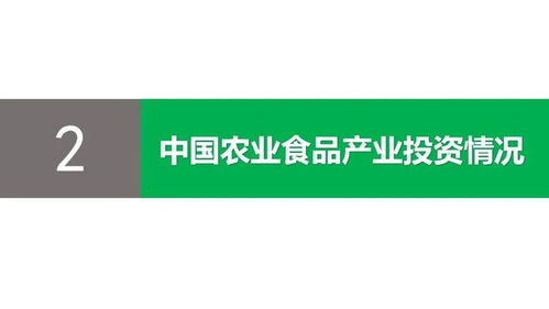 逆勢上漲 2020年中國農業食品投資年報