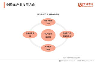 2019中國4k產業研究與商業投資決策分析報告