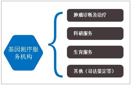 2021 2027年中國基因測序服務(wù)機(jī)構(gòu)市場競爭格局及投資戰(zhàn)略咨詢報(bào)告