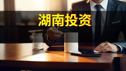 湖南投資