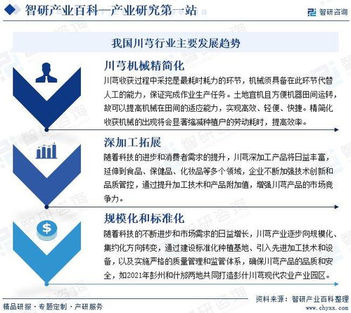智研咨詢發布 中國川芎行業發展現狀 產業全景概覽及投資方向分析
