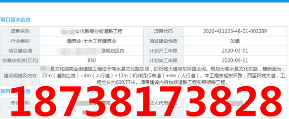 項目實施方案-工業工廠可行性報告編寫單位