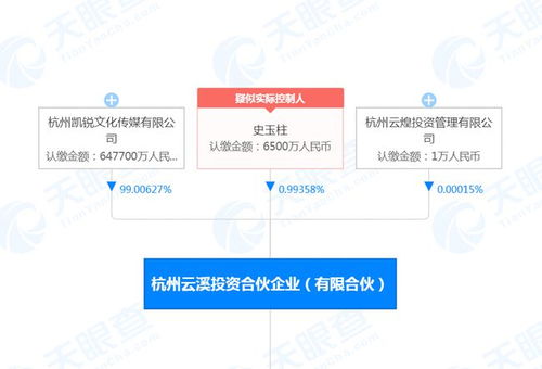 快訊 史玉柱再次被凍結(jié)6500萬股權(quán)