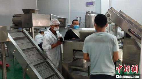 看中產(chǎn)品進(jìn)出東盟便利 臺(tái)商投資廣西崇左農(nóng)業(yè)產(chǎn)業(yè)